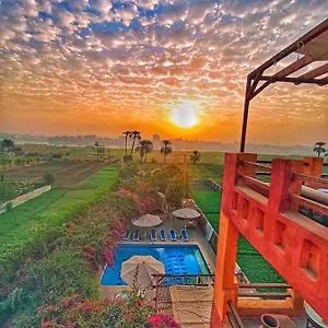 Nile Compound Affittacamere